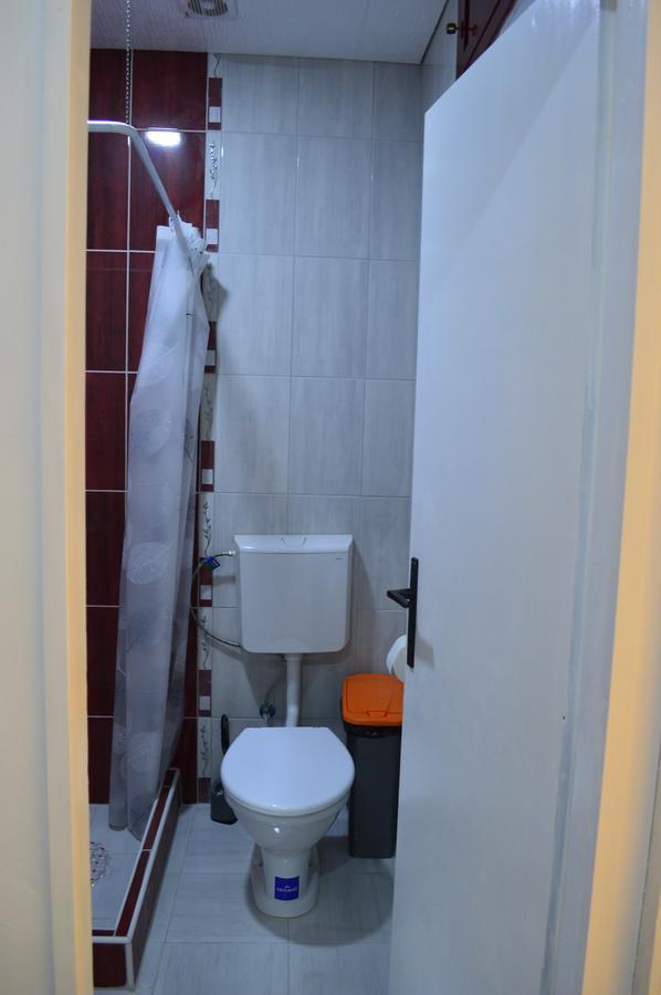 Apartman Linera Soko Banja Exterior foto